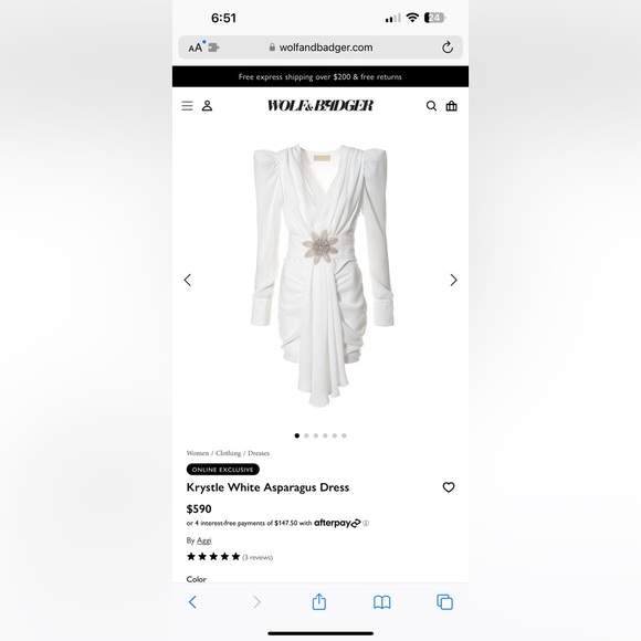 🤍WOLF AND BADGER DRESS🤍 - Picture 4 of 4